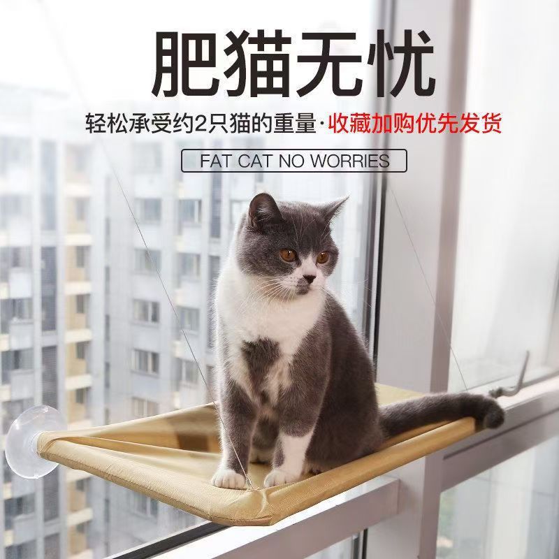 Simple universal glass swings all-season, new collection, cat