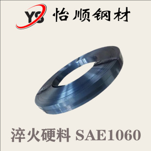 ���䓲� �|ݸ���^ SAE1060 �r�񌍻� S60C C60