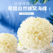 ϣ�D���ٺ���C�z�q��ɫ����L��ˇ�g�T���Ļ����d