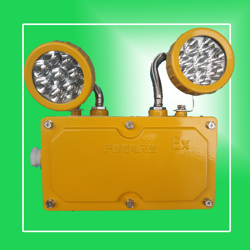 BXW6229����Ӧ���� 2*10WLED˫ͷӦ���Ʊڹҵ�2*20W������