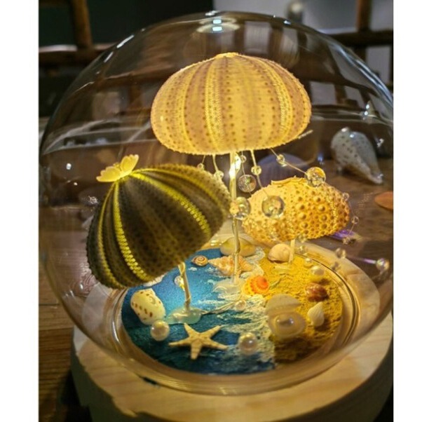 Sea Urchin Shell Night Light Handmade Finished Product for Female Best Friend's Birthday Decoration Event Gift Finished Gift
