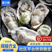 ����r���뚤��������rĵϠ������Ϡ���rˮ�a���������������