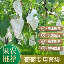 ״ôxBˮˮ겡õĴӱo