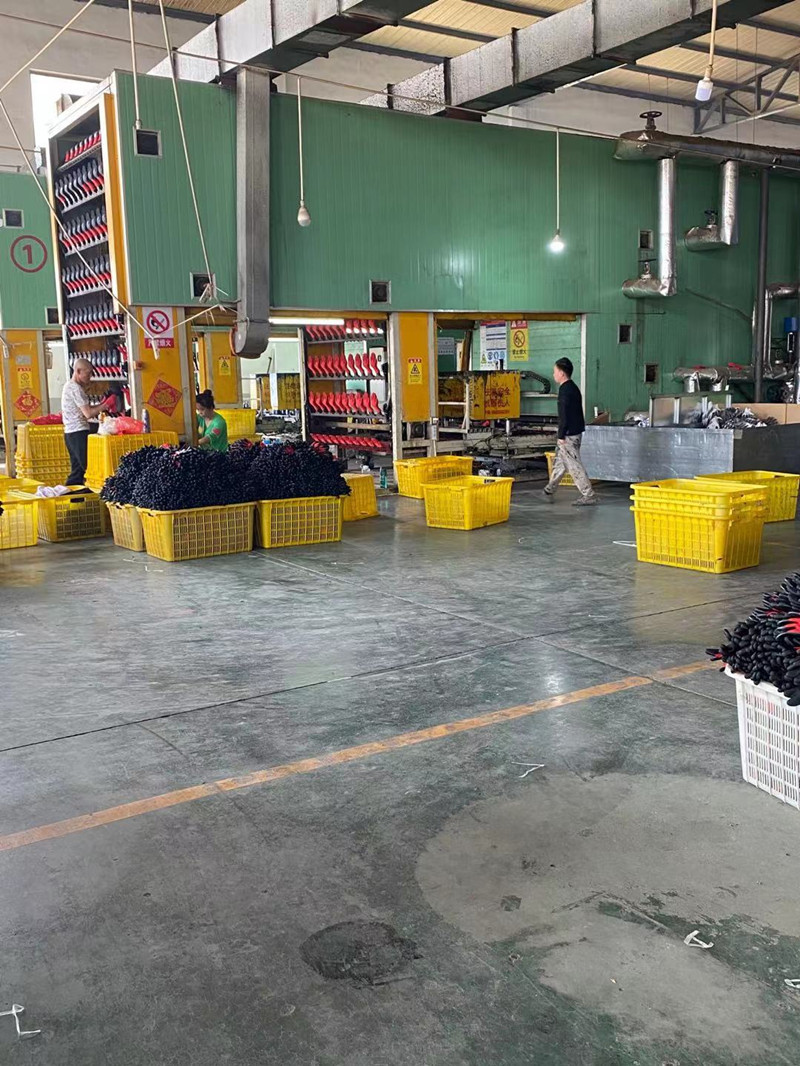 微信图片_20210506190929_副本