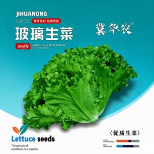 �ļ���ಣ�����˷N�Ӵ����������˷N���̨�ļ����Դ����߲˷N��