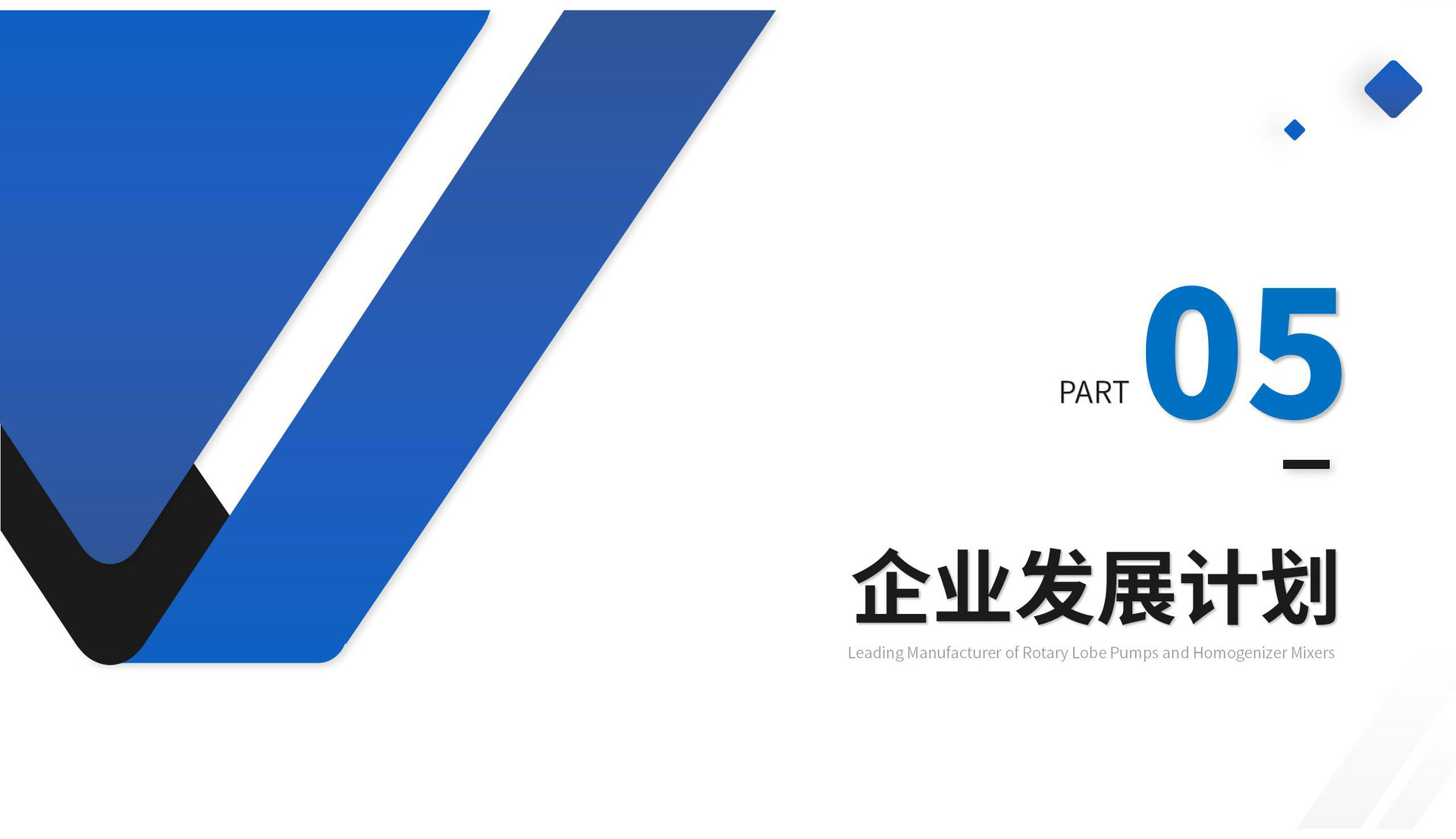 邦威泵业专业生产凸轮泵转子泵混合泵双转子泵厂家