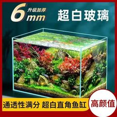 超白色ガラスゴールデンクリスタル造園水槽リビングルームカメ金魚水槽送料無料ベア水槽生態水槽草水槽