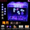 Haiyue buy two get one road damage + transparent tank + two lanterns + two packs of sea salt + food + dropper + feeding card