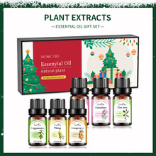 Tiktok热销护发精油6件套改善毛发干枯分叉头部护理按摩精油套装