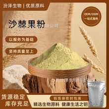 沙棘果粉99% 速溶沙棘粉 另有沙棘冻干粉 沙棘果油 厂家供应