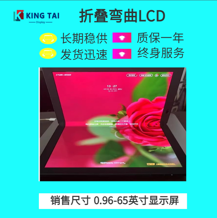 Pmoled12.6" Oled Screen 1600*2560 High Brightness 400 Contrast Ratio 100000:1 and Hui Amoled