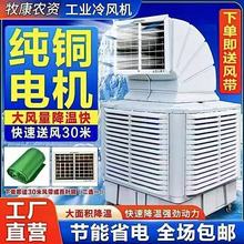 LCBֳIˮ{ˮȾW܇g͆L