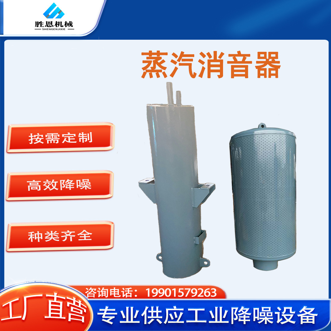 向空排气消音器 锅炉放空消声器小孔型降噪30分贝 胜恩定制