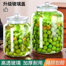 青梅泡酒专用玻璃瓶酒瓶空瓶杨梅果酒食品级酒坛子密封罐容器酒罐