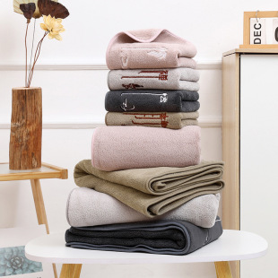 Cross-border New Coral Fleece Embroidered Fresh Ins Towel Bath Towel Two-piece Hotel Towel Thickened Large Bath Towel