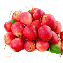 新疆香妃海棠果鸡心果包邮上海发货新疆海棠果一件代发