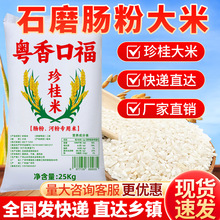50斤正宗石磨肠粉专用大米广东肠粉珍桂矮米小楼山水禾田早稻米