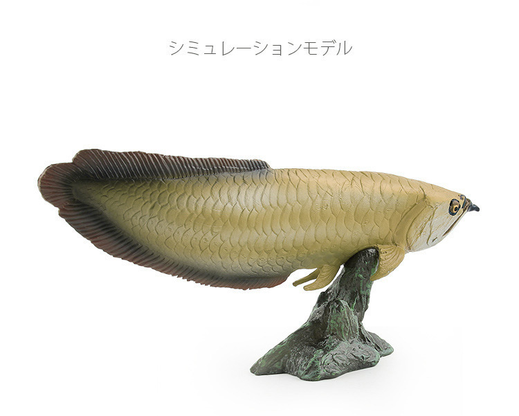 20250301_113550_009