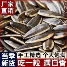 葵花籽农户内蒙直发新鲜原味大颗粒壳新货生熟葵花籽瓜子361品种