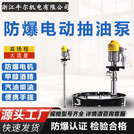 SB-3-1不锈钢高速防爆油桶泵SB-4/6/8隔爆型电动抽油泵化工抽液泵