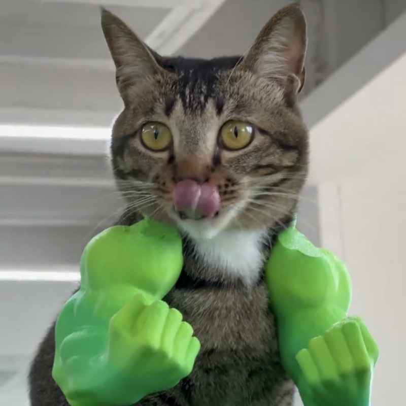 ハルク猫アームペット子犬のおもちゃ写真小道具 3D 印刷かわいい面白いクリエイティブ猫服バックパック|undefined