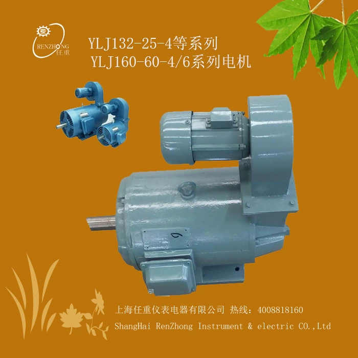 Экономичный моментный мотор YLJ132-25-40 YLJ160-60-4 моментный мотор Ma YL