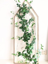 假花藤条绿叶空调缠绕管道绿植假遮挡塑料壁挂垂吊藤蔓长春藤详情