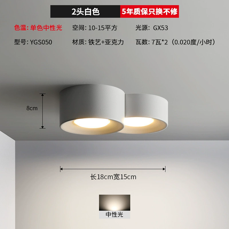 Mounted modern and minimalistic lights for corridor, ceiling light, LED lamp