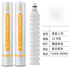 稳定系列训练用球室外黄金娱乐威羽斯室内耐打羽毛球只装包邮到家