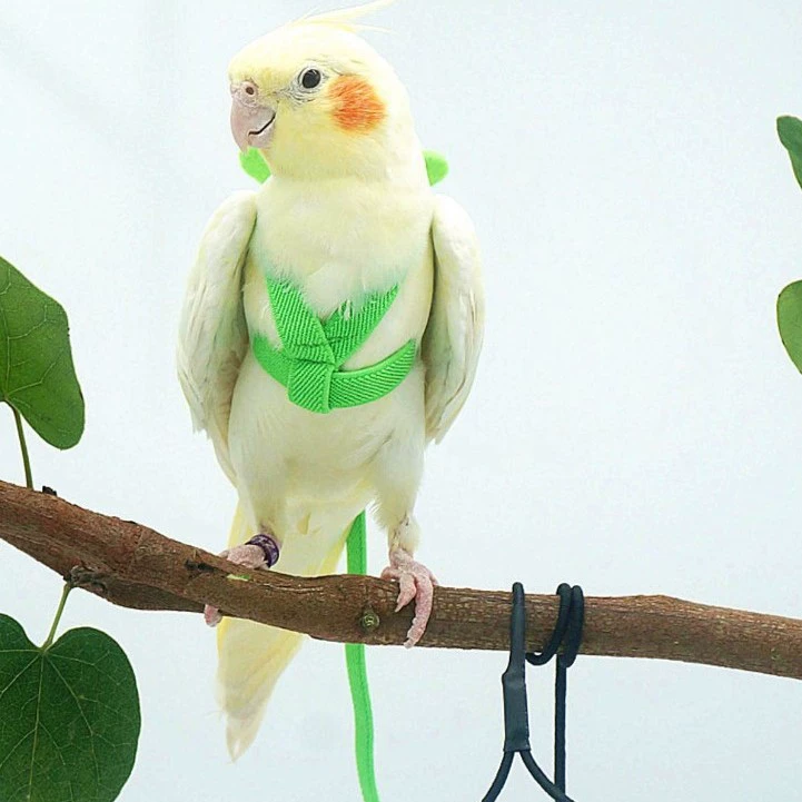 Новый трансграничный попугай летающий веревка Сверхлегкий буксирный трос