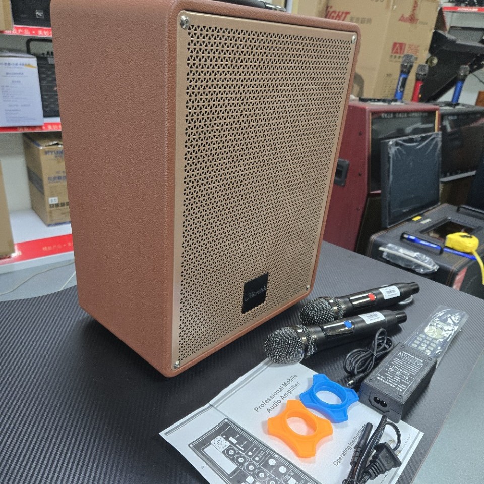 Full Range Karaoke 8inch Speaker Speaker Home Entertainment Ktv Audio Conference Banquet Speaker Dual Wireless Microphones