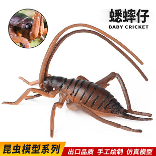 ��ͯ��߷������x����ģ����ư�x֩��ϐ���x���J֪����ģ�͔[��