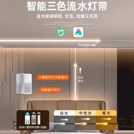 24VCOB追光流水灯带双色幻彩变光线形跑马软灯带接入米家智能控制