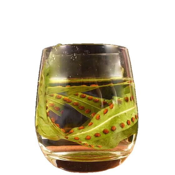 Kidney Essence Tea, Kidney Essence Grass, Changbai Mountain Wild Kidney Grass, Fossil Grass, Golden Grass, Male Kidney Essence Nourishing Authentic Product