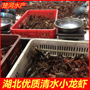�r��С���r���l������ˮ�Bֳ����С���r���w��ˮ�r�͏d�������r