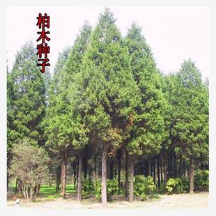 ��ľ�N���ɰطN����ľ�N�����ش��z�ؒ����ľ���������ܰ�