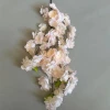 Шампанское (четырёхзубчатый)