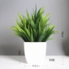 Aloe leaf potted