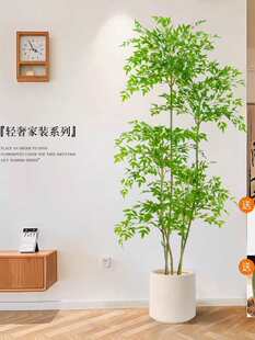 ����Gֲ������������Կ͏d���ͷ���ֲ��[���b��٘�߶��p��