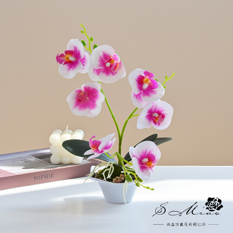 Nueva Phalaenopsis Bonsai de tres horquillas flor artificial decoración creativa Planta artificial suministro directo de fábrica de una sola pieza entrega image 12