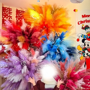 �����JȔ������ɫ��ë��������ꐻ鷿��Y�����b��՟����ȸ��