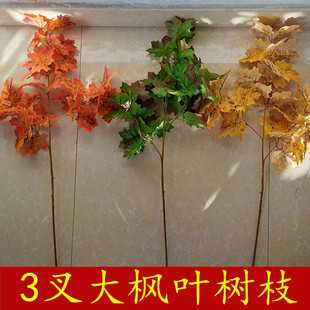 ������~�y���~�Ř��~��c�bzӰ����������ϼ��L�U��֦���ٗl