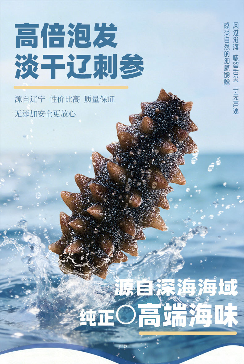 Ready to Eat Sea Cucumber Liaoning Stichopus Frozen Cooked 500g overview