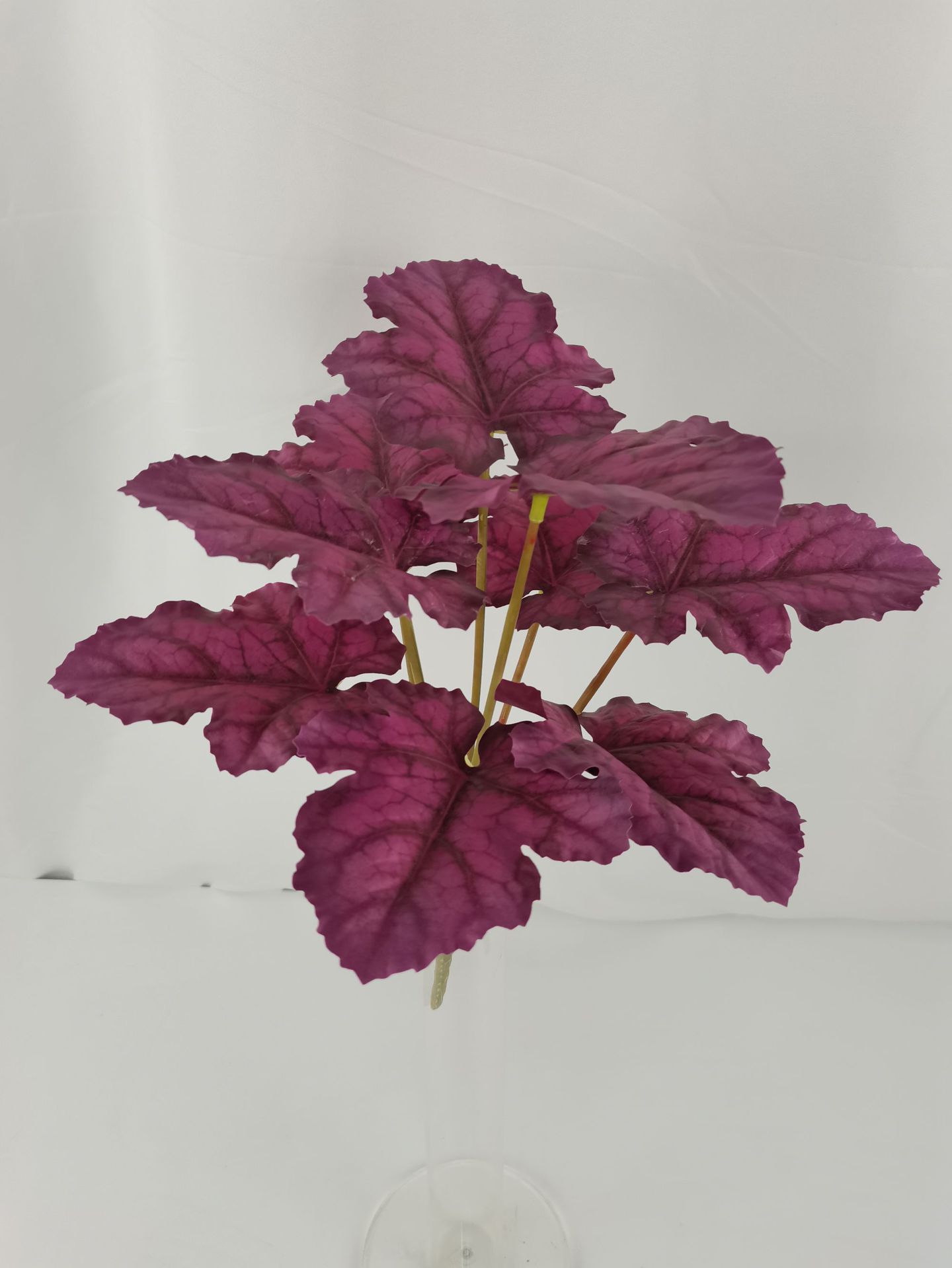 微信图片_20230529150029