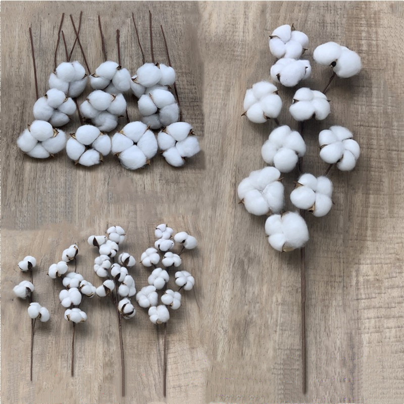 Yongsheng Cotton Dried Flower Simulation Single Kapok Bouquet Craft Wedding Home Furnishing Flower Arrangement Decoration Photo Props