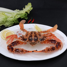 ���t��з���غ�зȫҎ���зˮ�a���r�����؛���ÏV�|ֱ����ʳ