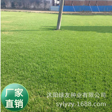 �ͺ������ļ����໤�¹����������޼���ƺ���ӹ����������������