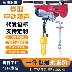 小型電気ヒョウタン家庭用小型220v吊り機ウインチ上料昇降クレーン小型電気ヒョウタン