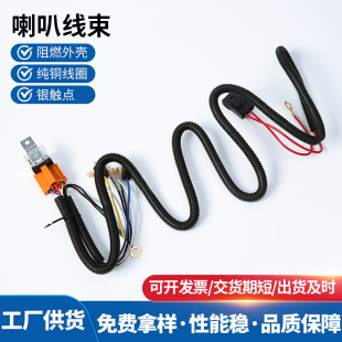 Car Headlight Brightener 12V/24V Horn Wiring Harness Relay Motorcycle Truck Kit Dc