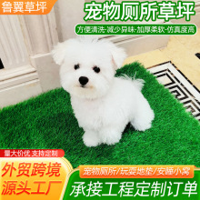 ���������ƺ�|�ٲ�Ƥ����؈���С������݉|���ﶨ�c�����ƺ